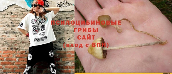 ALPHA PVP Армянск